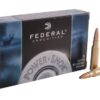 308w ammunition